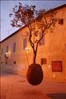 22 Hanging Tree at Night